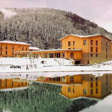 Appartement Medvedin 307 *