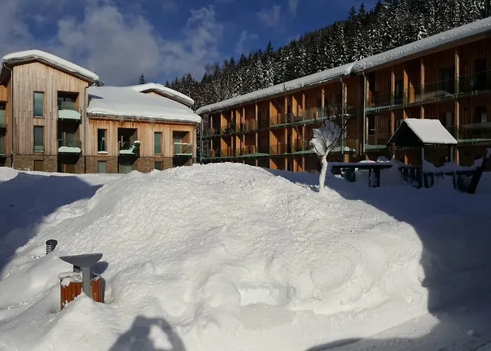 Appartement Medvedin 307 *