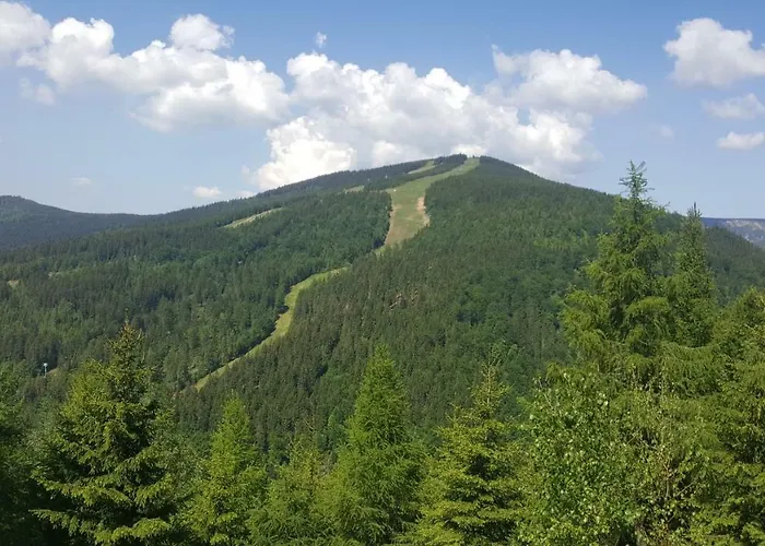 Appartement Medvedin 307 Špindlerŭv Mlýn