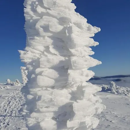 דירה Medvedin 307 *