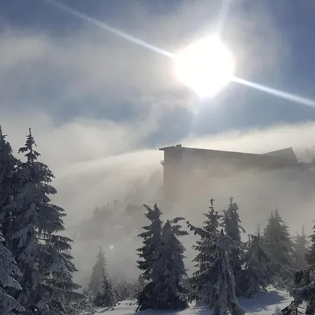 דירה Medvedin 307 *