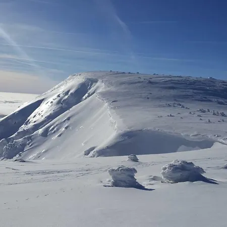 Medvedin 307 דירה *