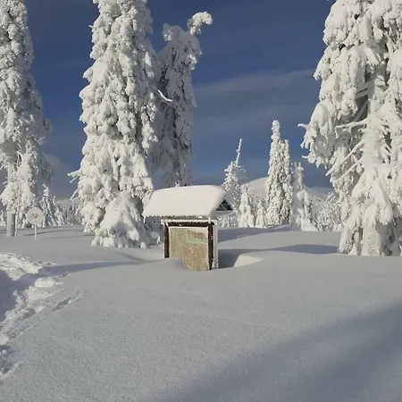 Medvedin 307 דירה Špindlerŭv Mlýn