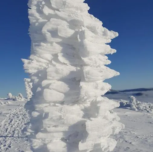 公寓 Medvedin 307 *