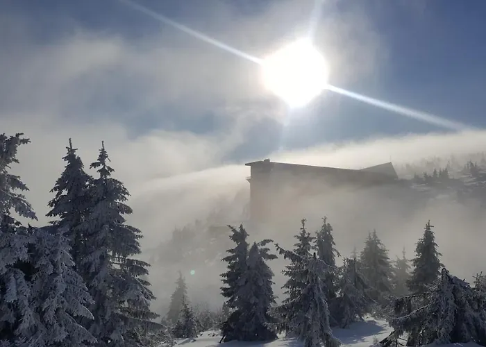 公寓 Medvedin 307 *