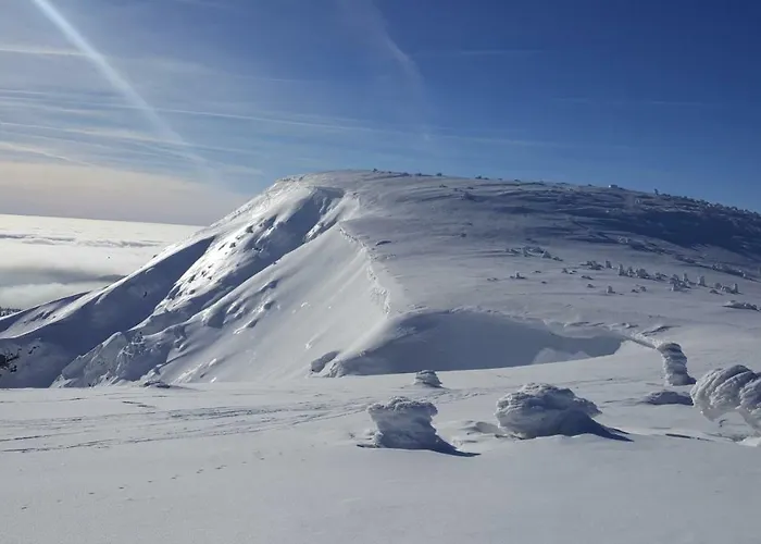 Medvedin 307 Appartamento *