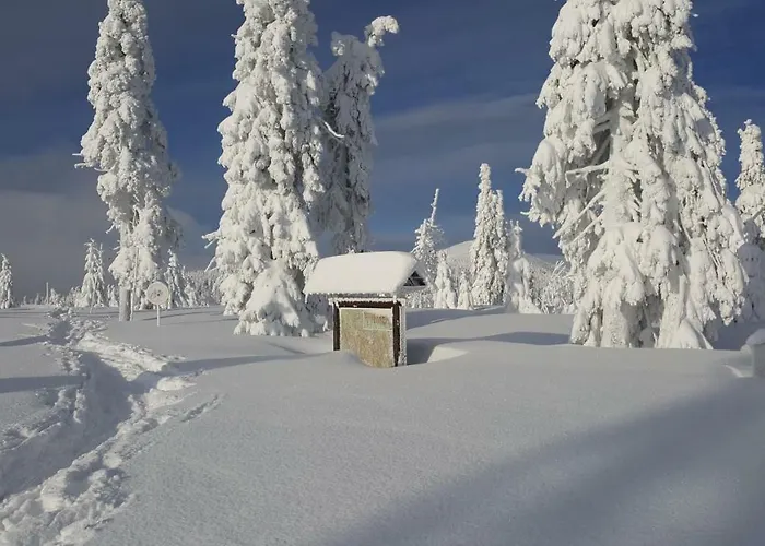 Medvedin 307 公寓 Špindlerŭv Mlýn